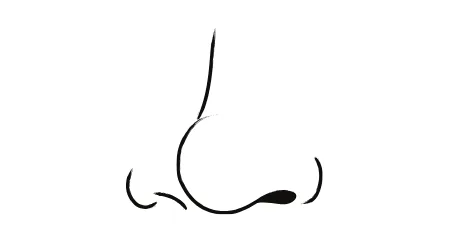 Nose